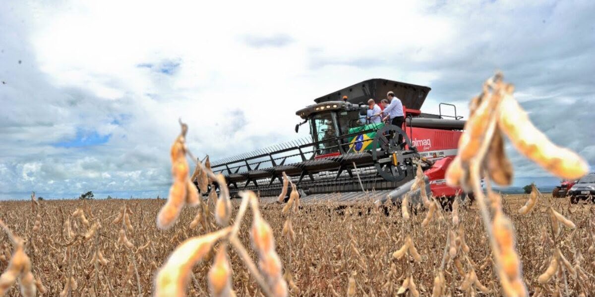 Goiás registra superávit de US$ 589 milhões na balança comercial em setembro de 2026