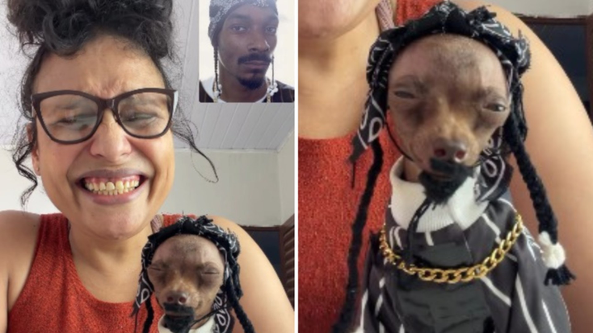 'Snoop doguinho': rapper americano segue dona de casa que viralizou com fantasia de artista para pinscher