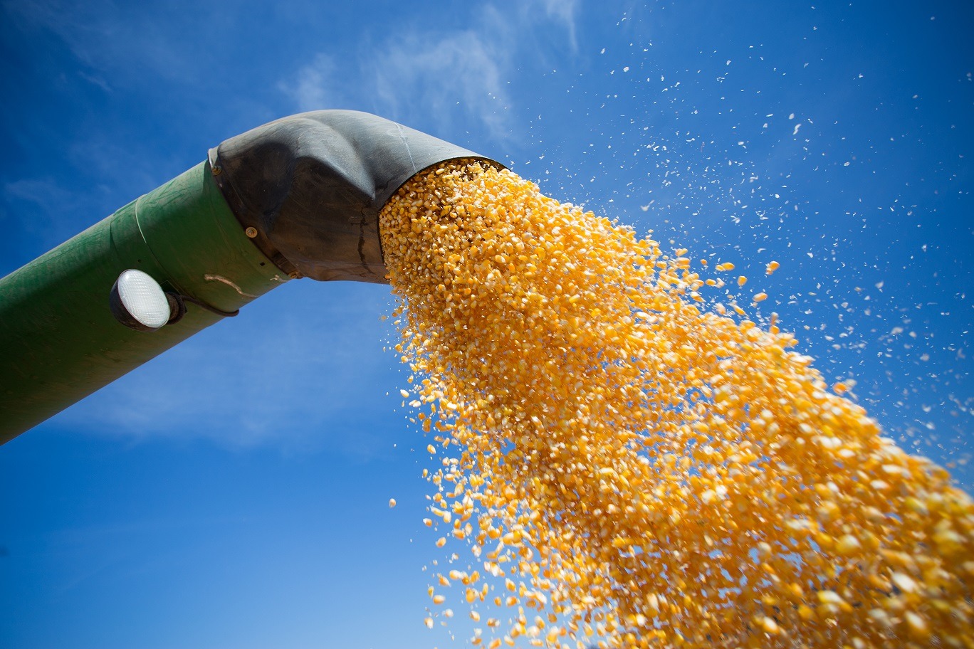 Goiás lidera três culturas agrícolas no país e produz 20,3 milhões de toneladas de soja