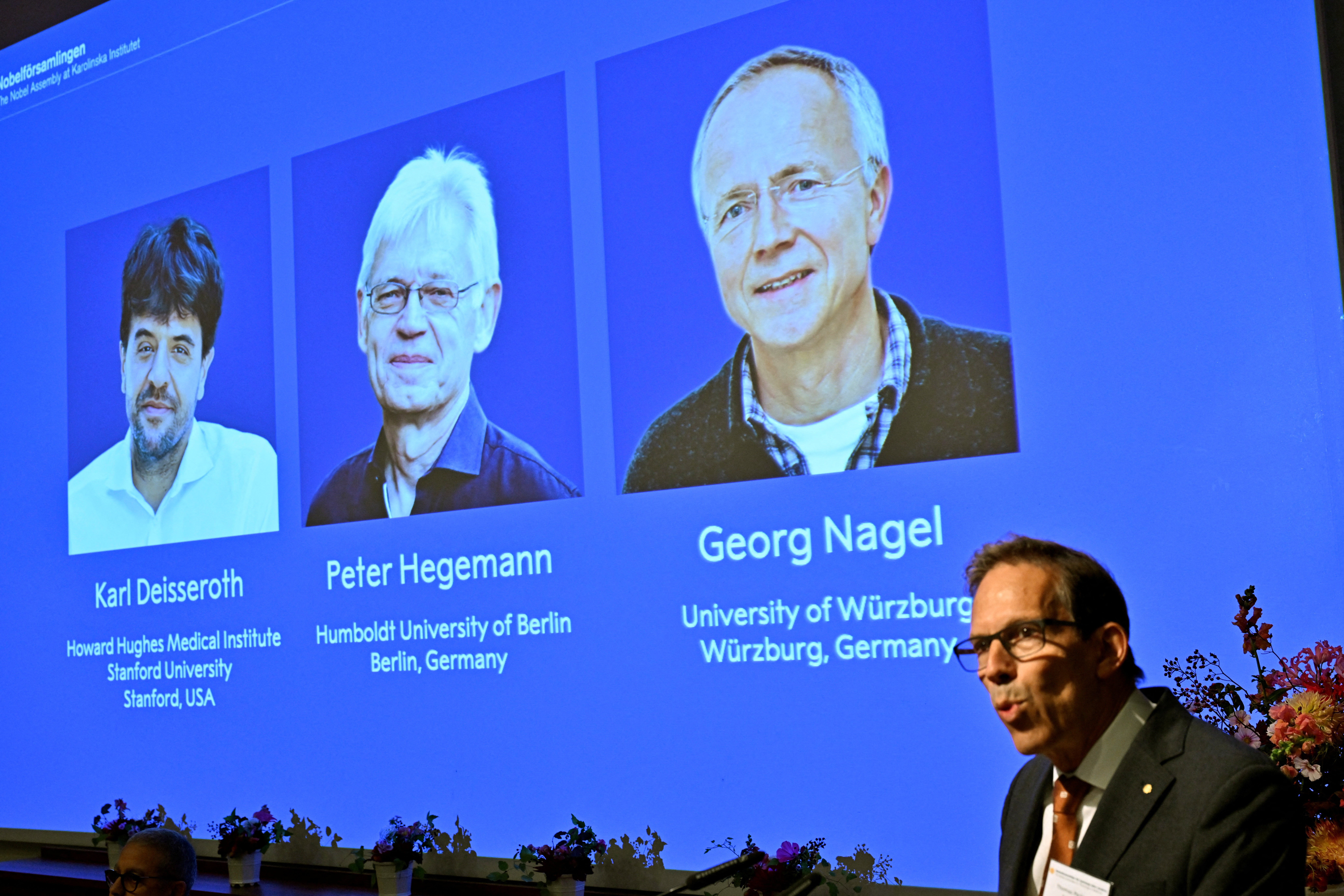 Estrelas acesas no cérebro e a alga que deu origem ao Nobel de Medicina