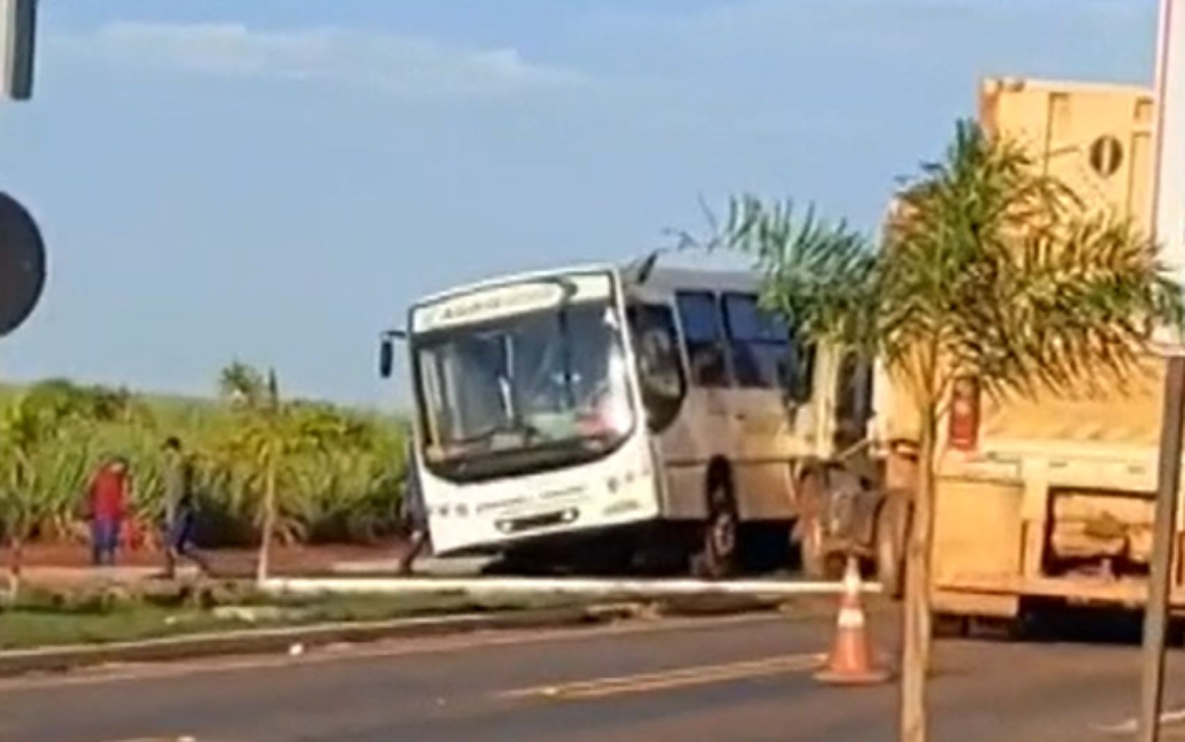 Acidente entre ônibus e caminhão deixa sete pessoas feridas, em Nova Glória
