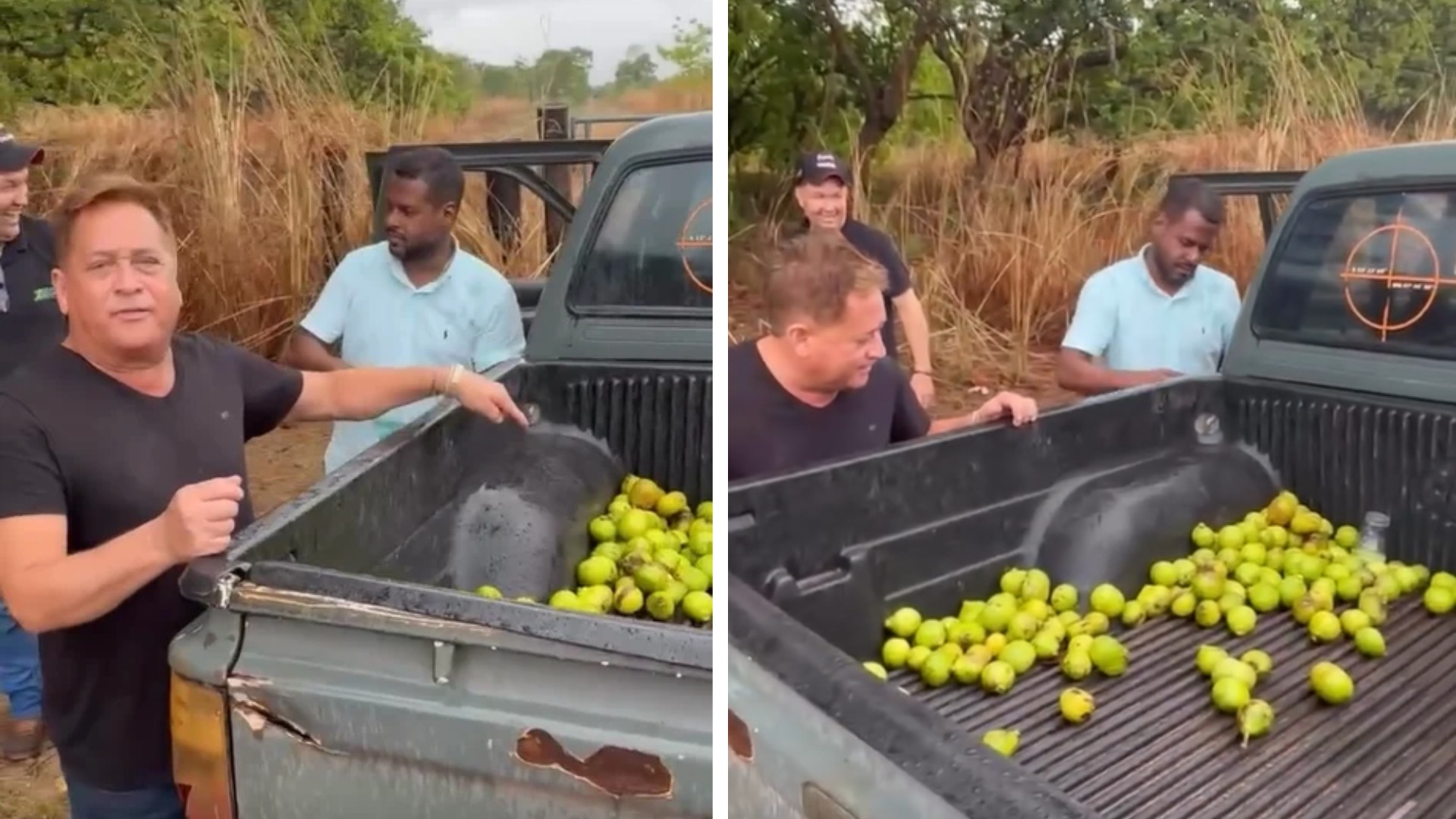 VÍDEO: Leonardo pega pequi no meio de fazenda e mostra carroceria cheia: ‘Será que a gente gosta?’