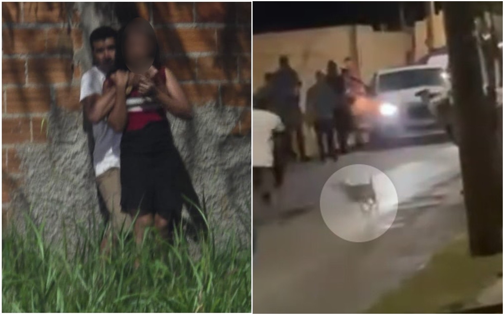 Cadela ataca criminoso e ajuda a salvar jovem mantida refém em Senador Canedo; vídeo