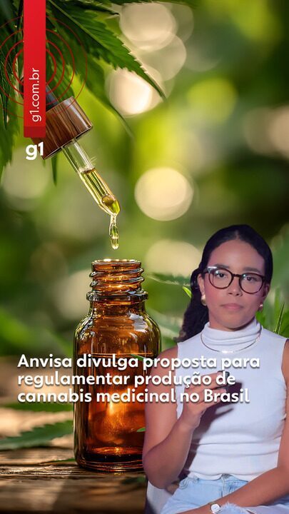 Anvisa apresenta proposta para regulamentar produção de cannabis medicinal no Brasil