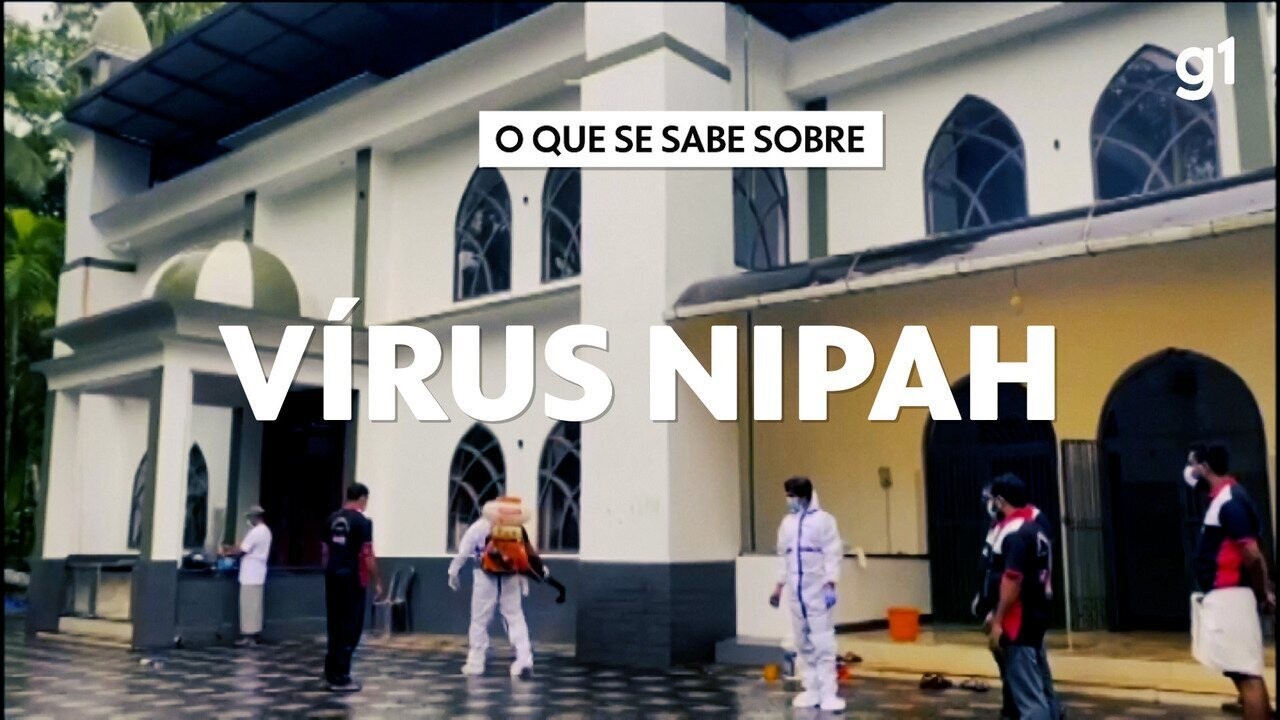 Nipah: entenda o que é o vírus com alto índice de mortalidade que causa novo surto na Ásia