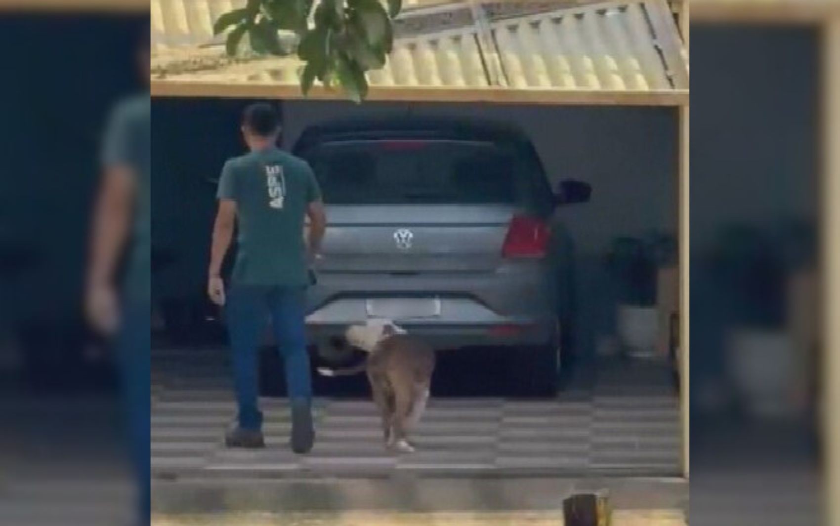 Bombeiro é surpreendido por pit bull enquanto caminhava com filho bebê; vídeo