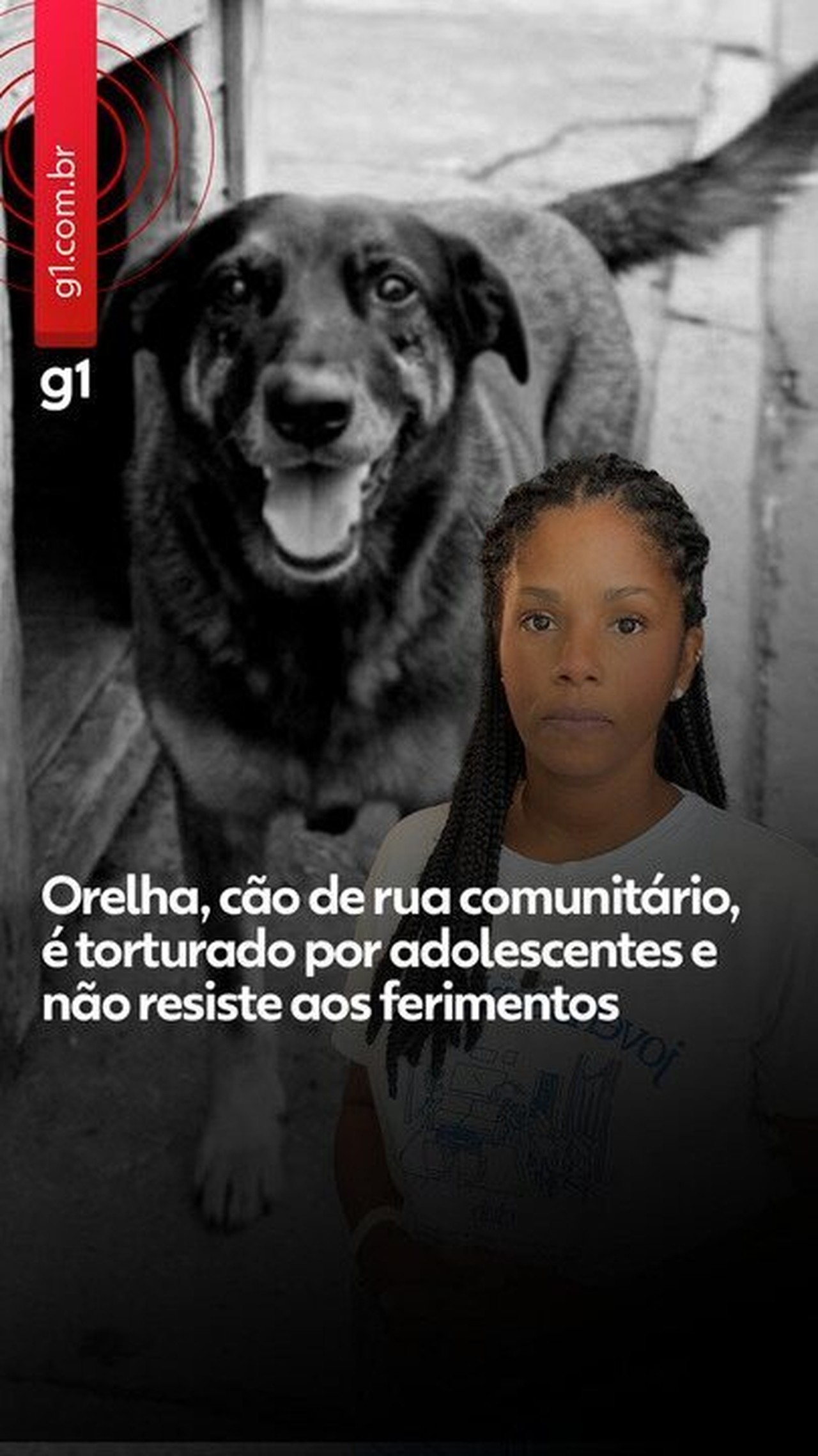 O caso do cão Orelha, o sofrimento coletivo e o lugar do autocuidado em tempos de comoção social