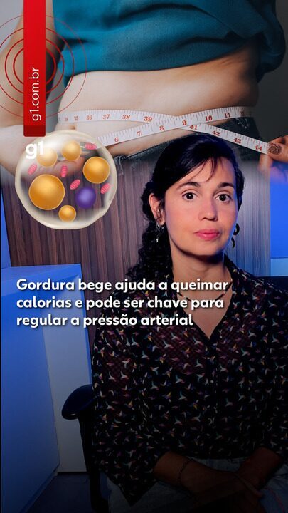 Gordura bege ajuda a queimar calorias e pode ser a chave para regular a pressão arterial
