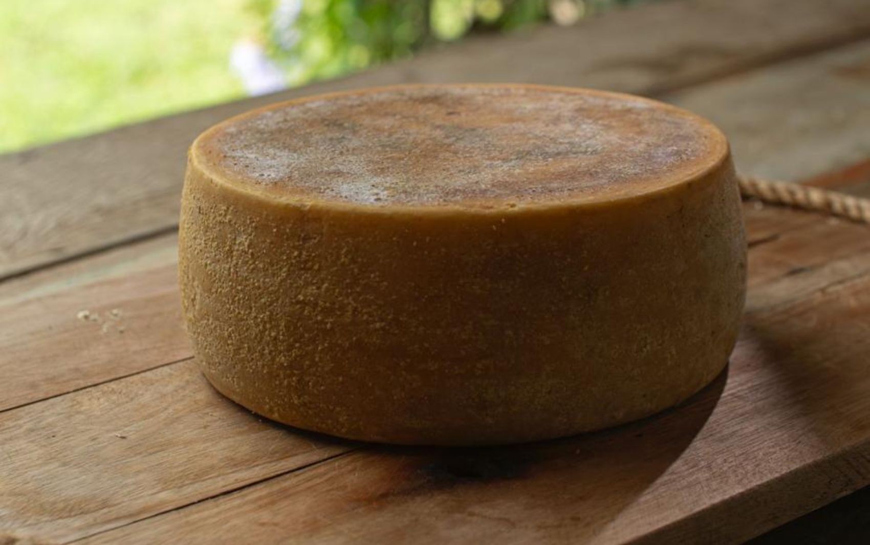 Conheça a única caverna do Brasil autorizada a maturar queijo, em Goiás