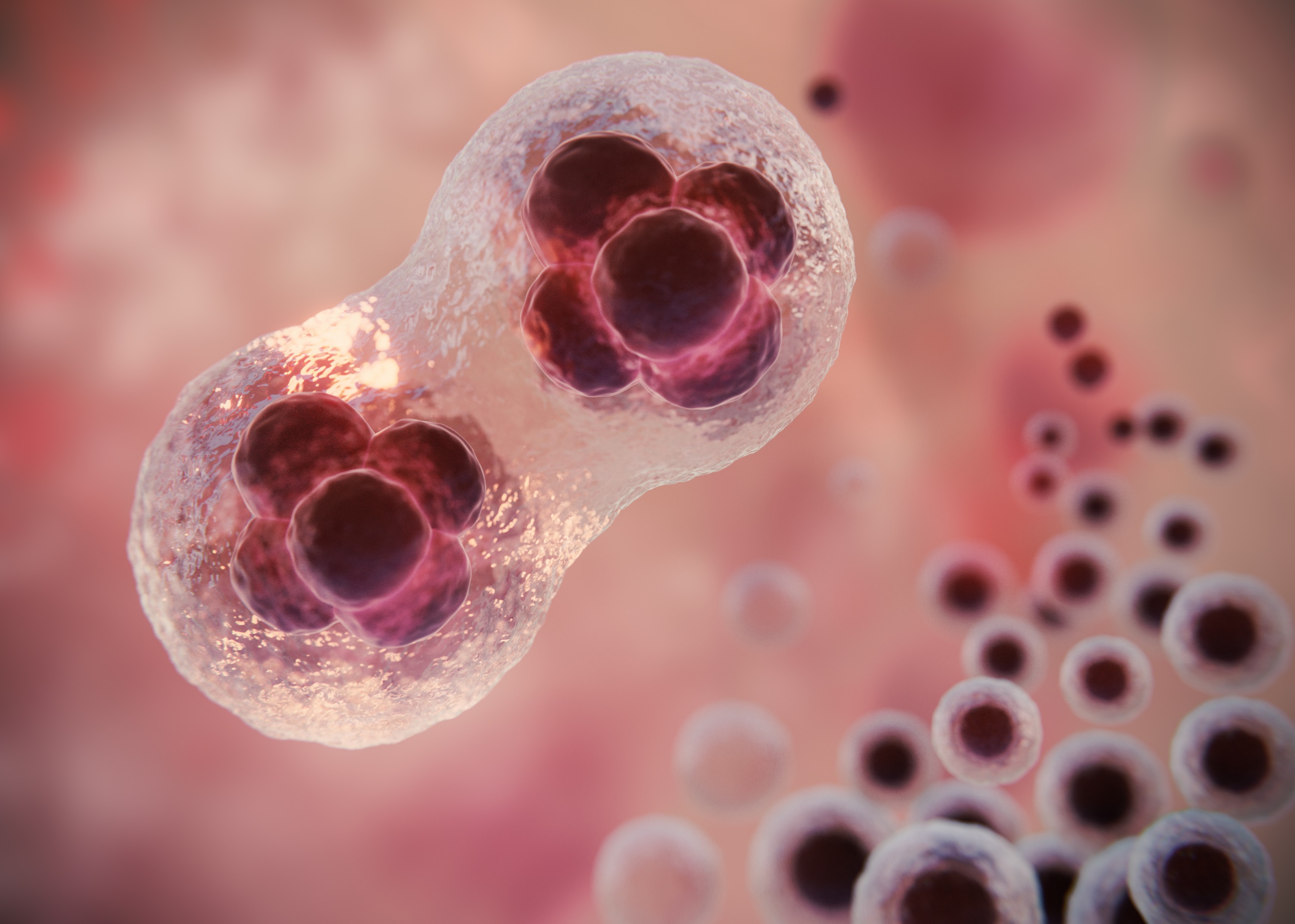 Sobrevida ao câncer chega a 70% nos EUA, e até tipos mais letais têm ganhos históricos