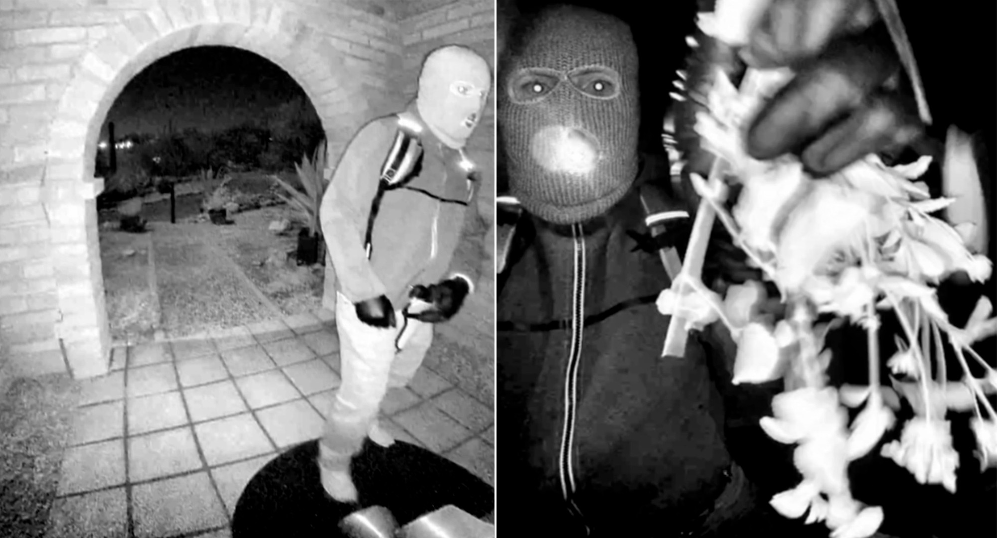 FBI analisa amostra de DNA em luva encontrada próxima à casa de mãe de apresentadora de TV sequestrada nos EUA