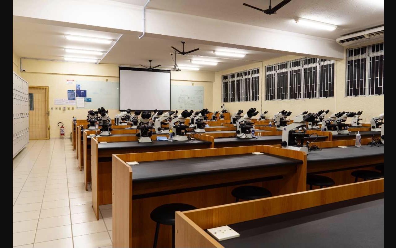 Inscrições para o Pé-de-Meia Licenciaturas são adiadas sem aviso prévio do MEC; incentivo mensal é de R$ 1.050