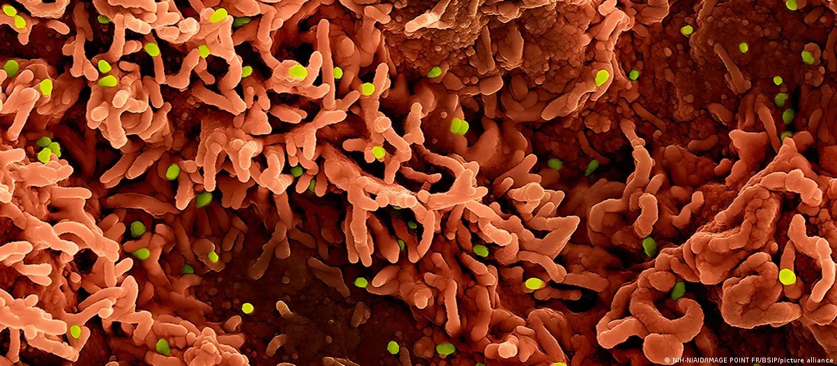 Os três vírus que podem desencadear novas crises em 2026