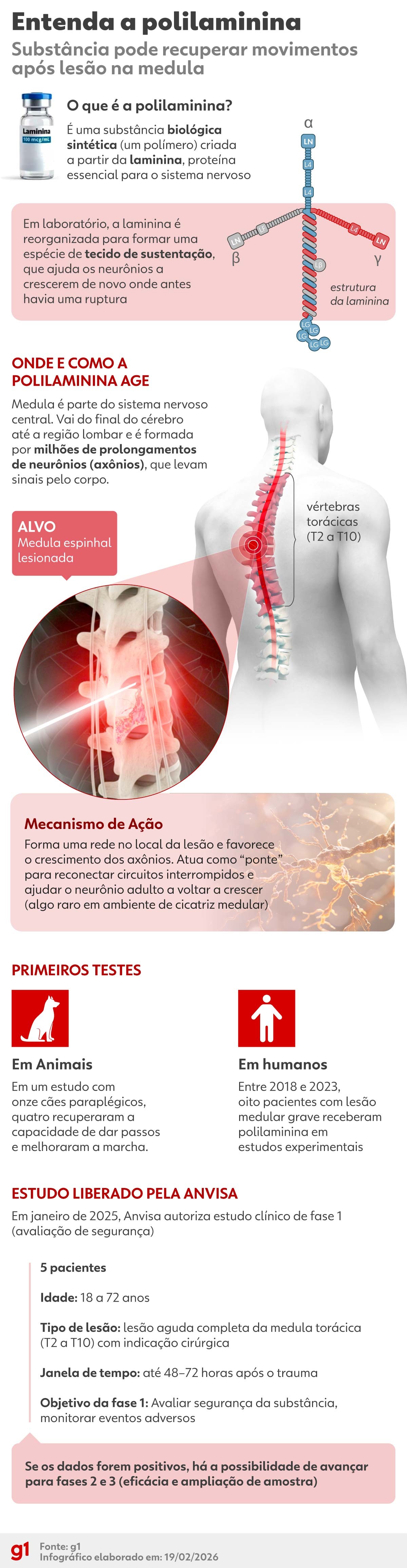 Paciente volta a andar e leva polilaminina aos trends; entenda o que a substância pode fazer e o que ainda não se sabe