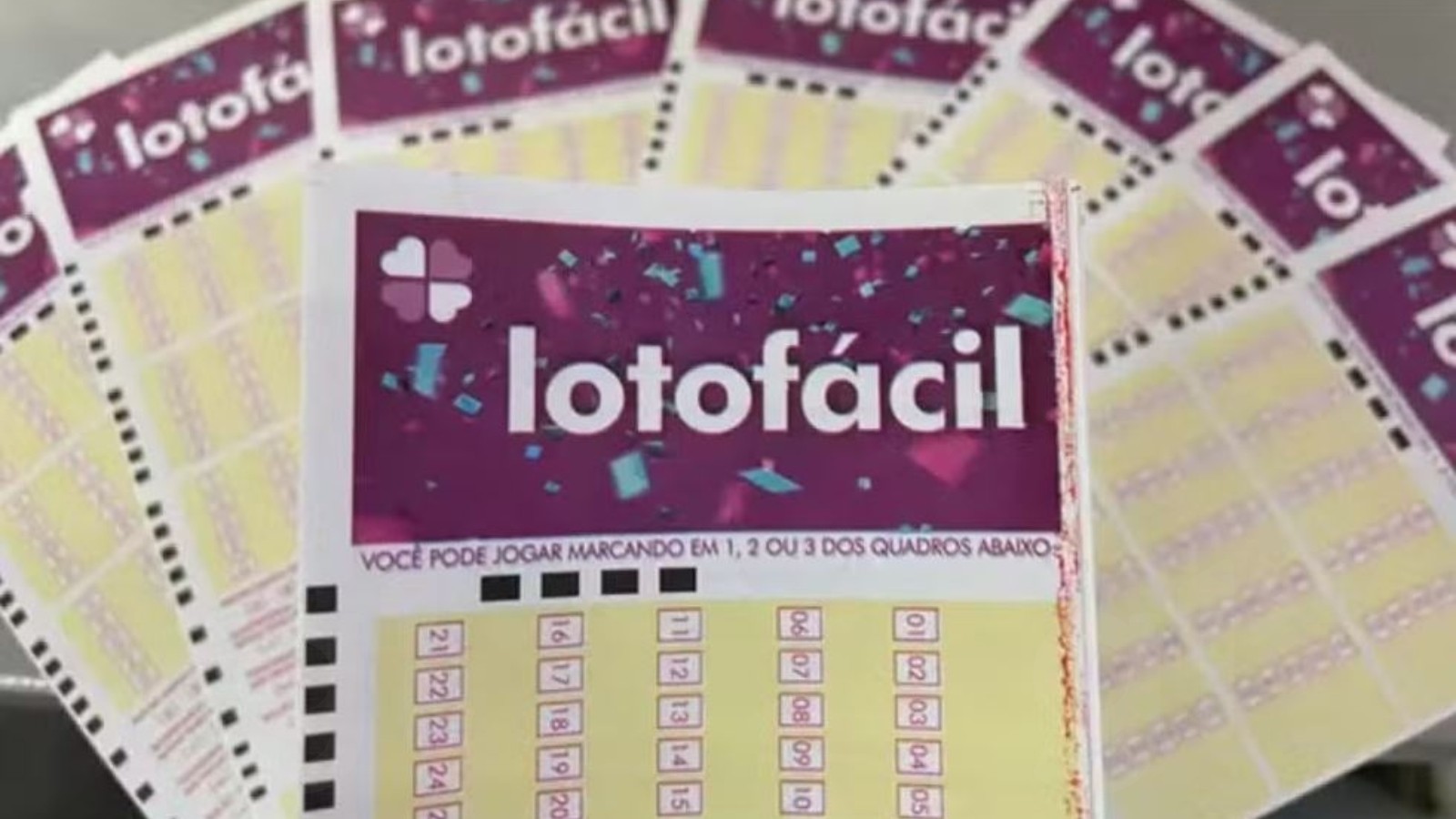 Lotofácil: Bolão de Goiás ganha mais de meio milhão ao acertar todos os números