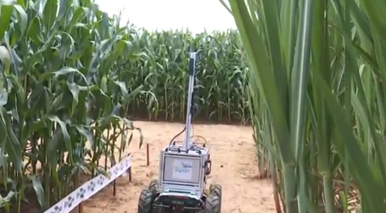 Protetor solar para frutas e robô que confere a lavoura com I.A: feira de tecnologia de agro apresenta inovações no interior de SP