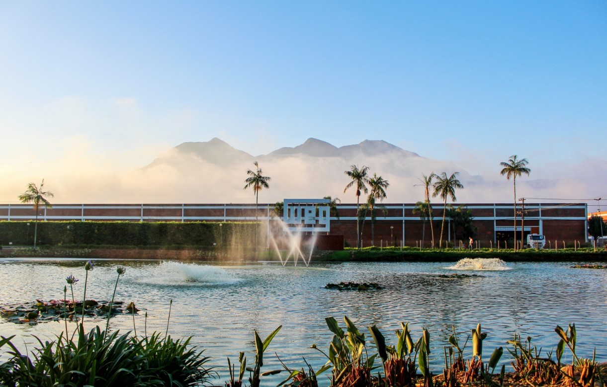 'Fábrica de bilionários' de SC investe em indústria de baterias para armazenar energia renovável; entenda