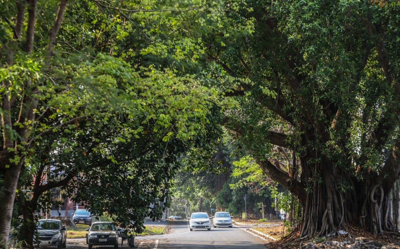 Bairro em Goiânia foi planejado e construído por prisioneiros de guerra da Alemanha nazista, diz advogado