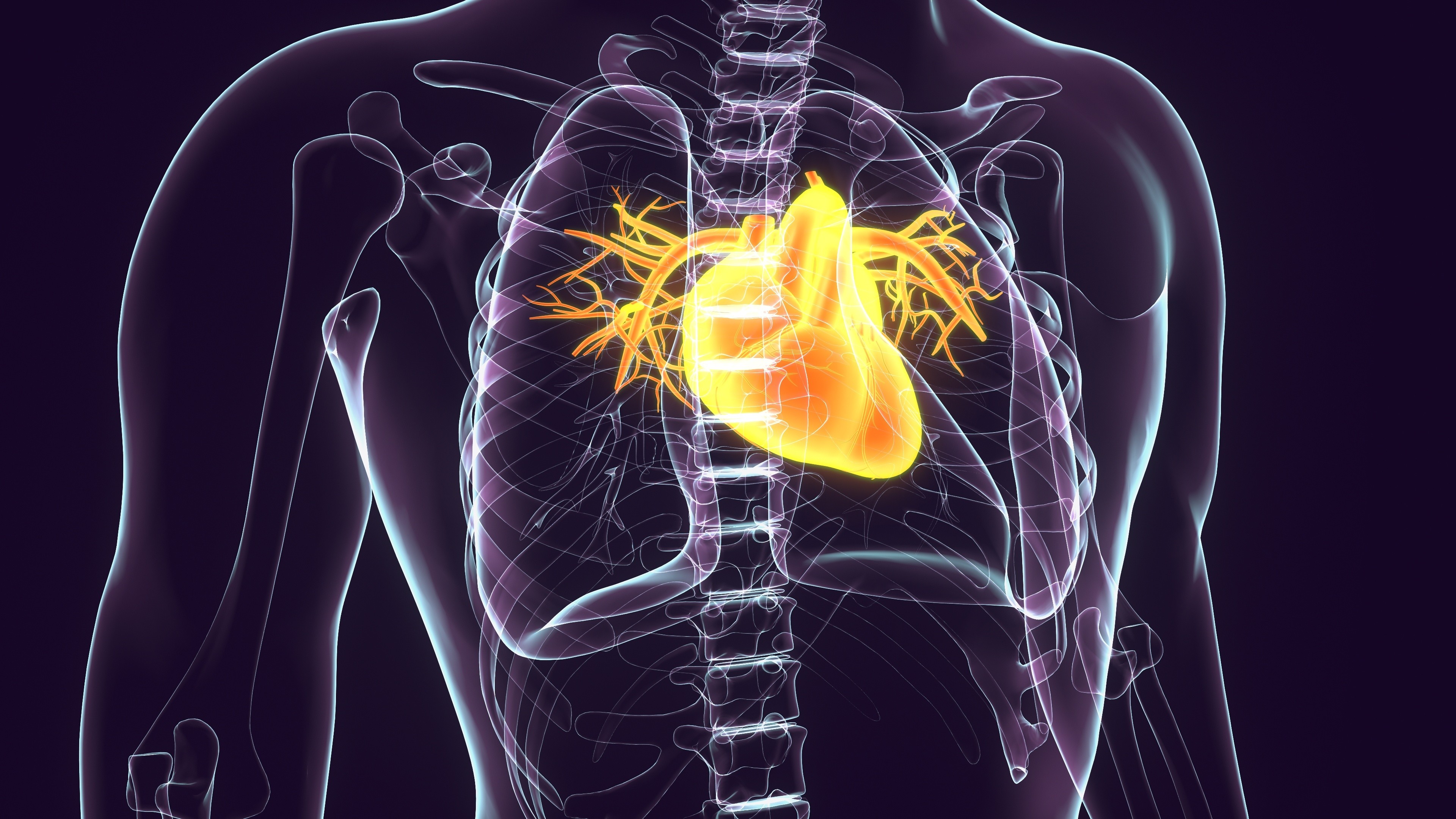 Câncer de coração existe: tumor raro pode ser confundido com falta de ar e exige cirurgia de altíssimo risco