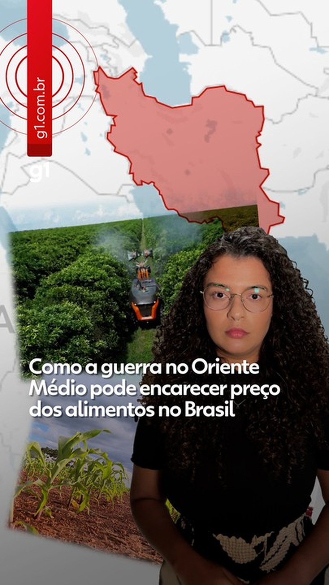 Por que a China devolveu cargas de soja do Brasil e uma grande exportadora cancelou embarques
