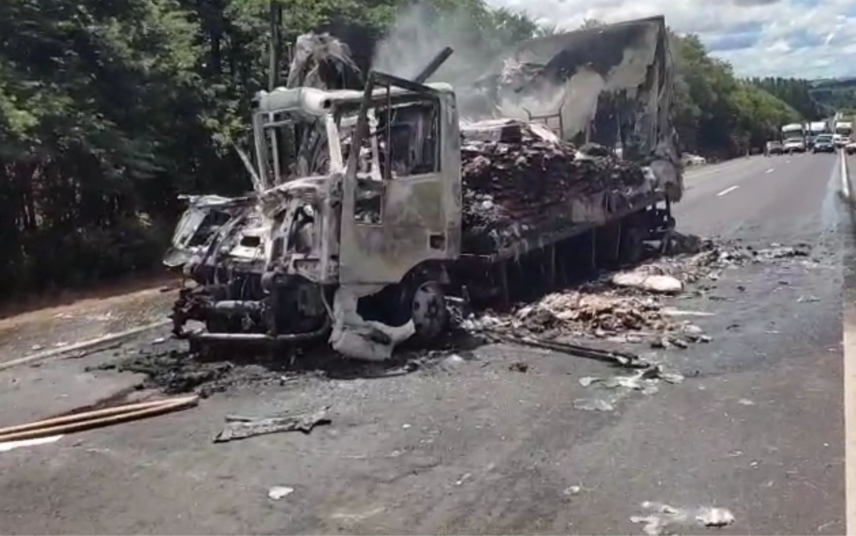 Passageiro morre após caminhão bater e pegar fogo em rodovia de Goiás