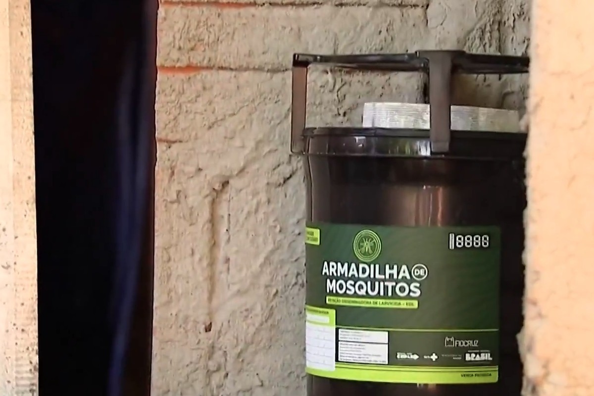 Como epidemia de chikunya fez quase 2 mil casos, 7 mortes e deixou cidade em alerta em MS