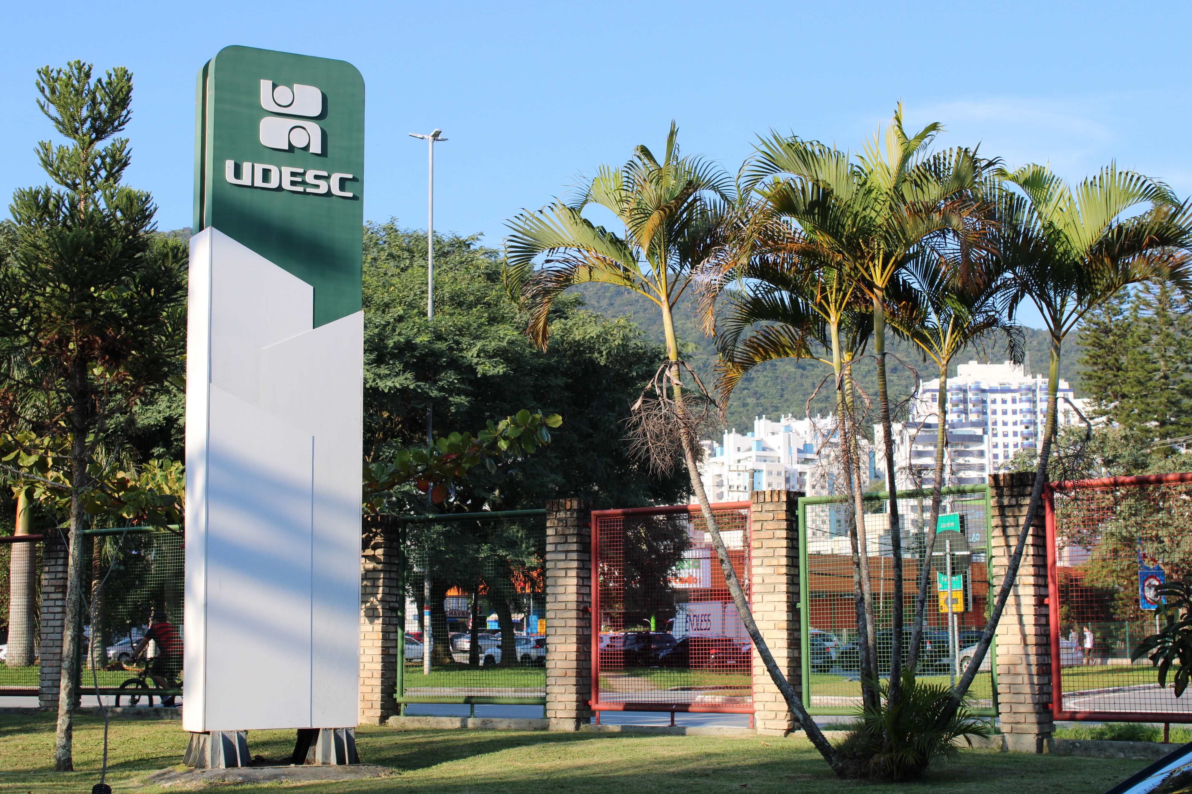STF tem 3 votos pela inconstitucionalidade da lei de SC que proíbe cotas raciais em universidades