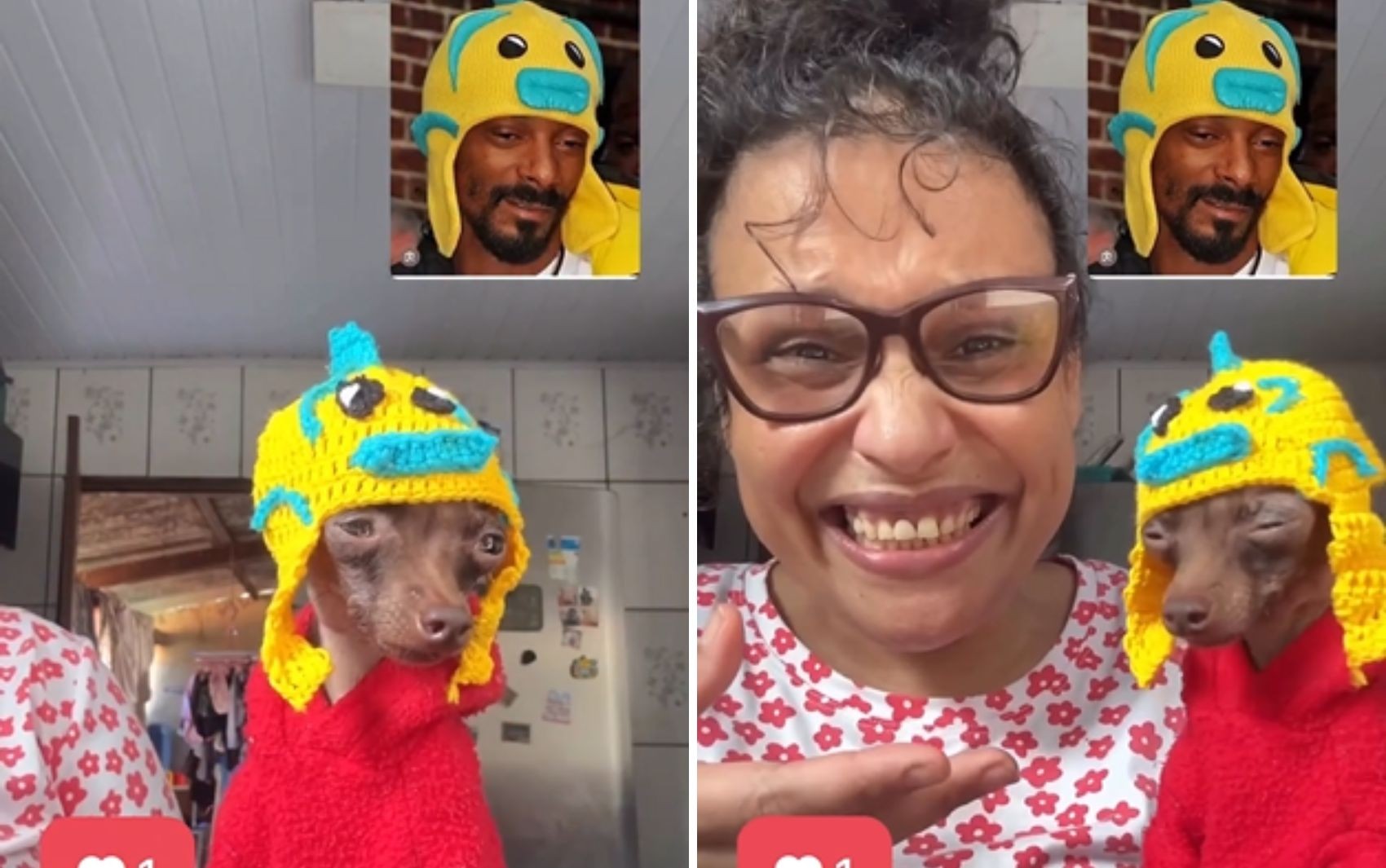 Goiana faz sucesso após Snoop Dogg compartilhar pinscher com look inspirado no rapper