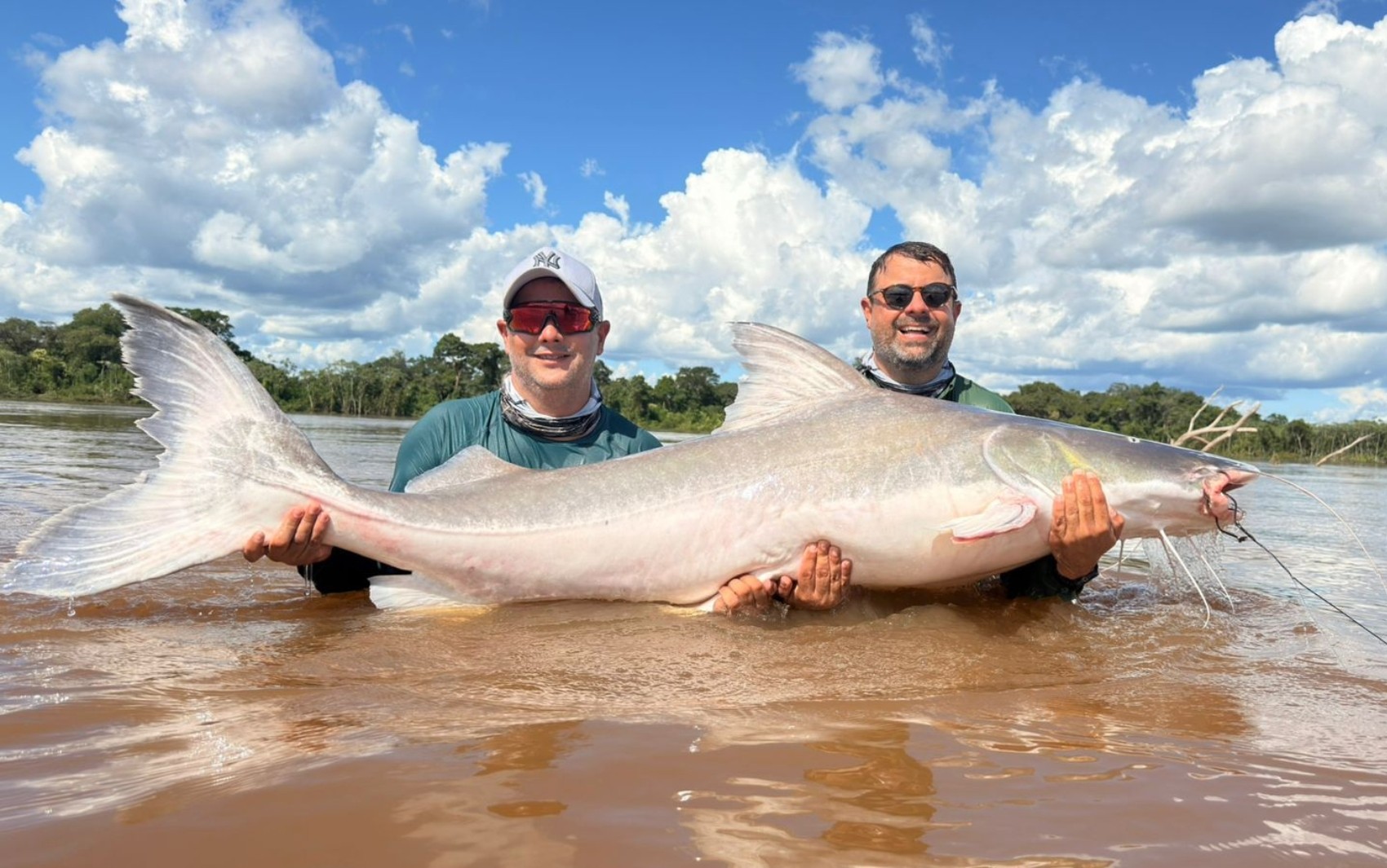 Irmãos que pescaram peixe de 2 metros e cerca de 100 kg que não pode ser consumido tentaram por quase 10 anos capturar animal tão grande