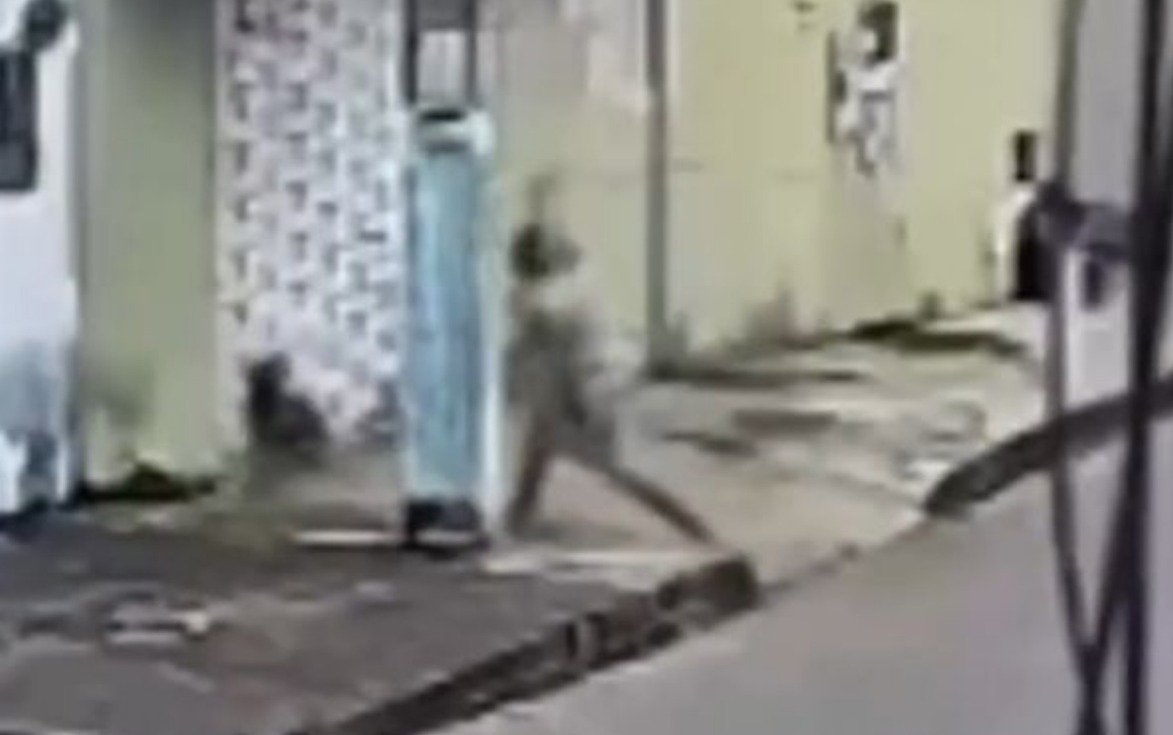 Cachorro comunitário é espancado com pedaço de pau em Nerópolis; vídeo