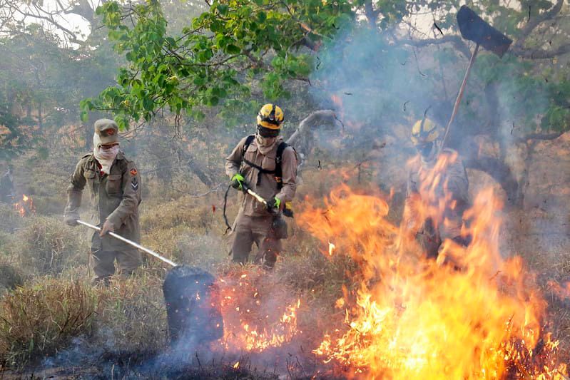 Governo de Goiás lança chamada pública para projetos que visam prevenir incêndios no Cerrado