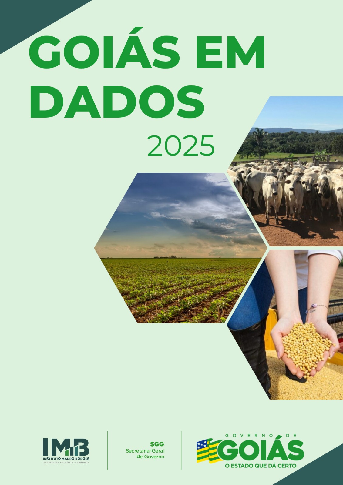 Goiás em Dados 2025 é divulgado pelo Instituto Mauro Borges
