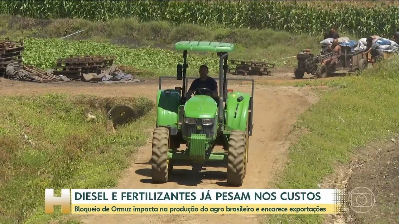Bilhões de refeições ao redor do mundo estão em risco por causa da guerra no Irã, diz presidente de empresa de fertilizantes