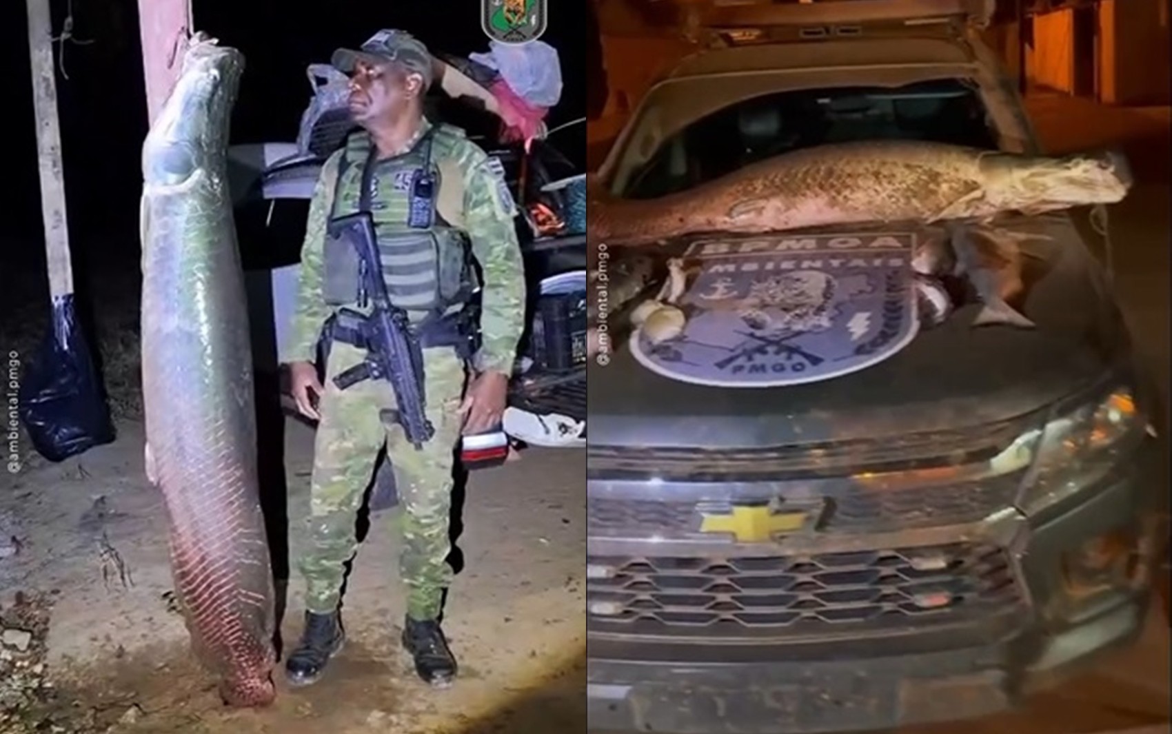 Policial que apreendeu peixe maior que ele lamenta pesca ilegal: ‘Tristeza’