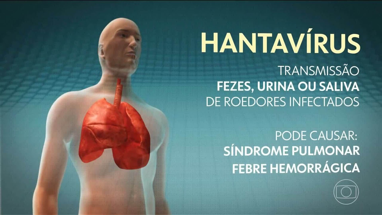 Hantavírus, COVID, norovírus… Por que os navios de cruzeiro são tão suscetíveis a surtos de doenças?