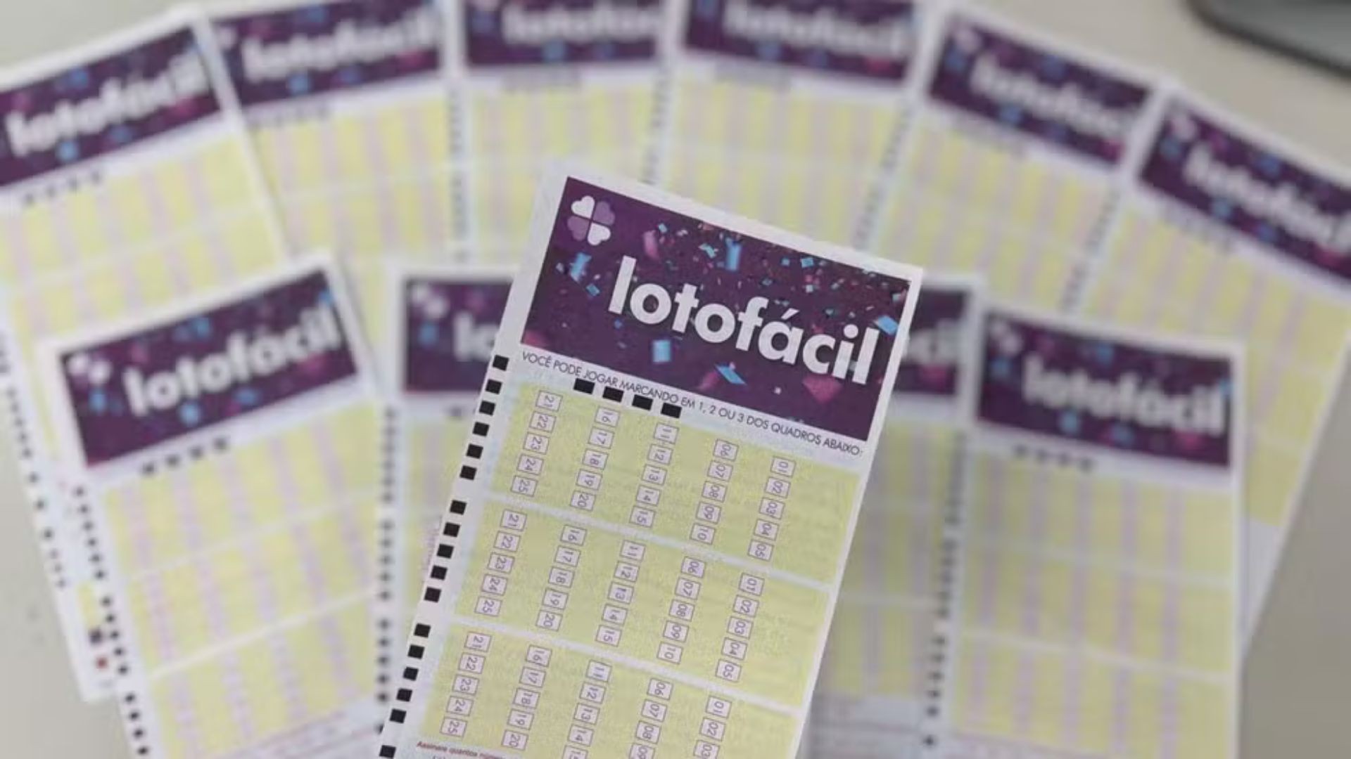 Lotofácil: Aposta de Goiás acerta 15 números e ganha mais de R$ 620 mil