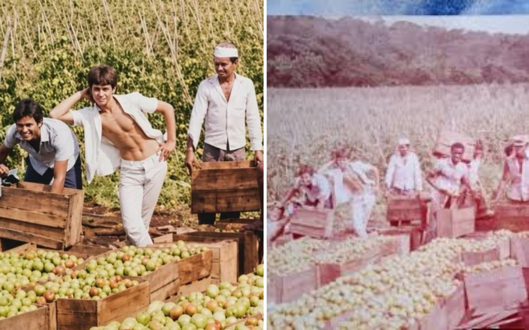 Antes da fama, Leandro e Leonardo trabalharam como meeiros com o pai em fazenda de tomate em Goiás