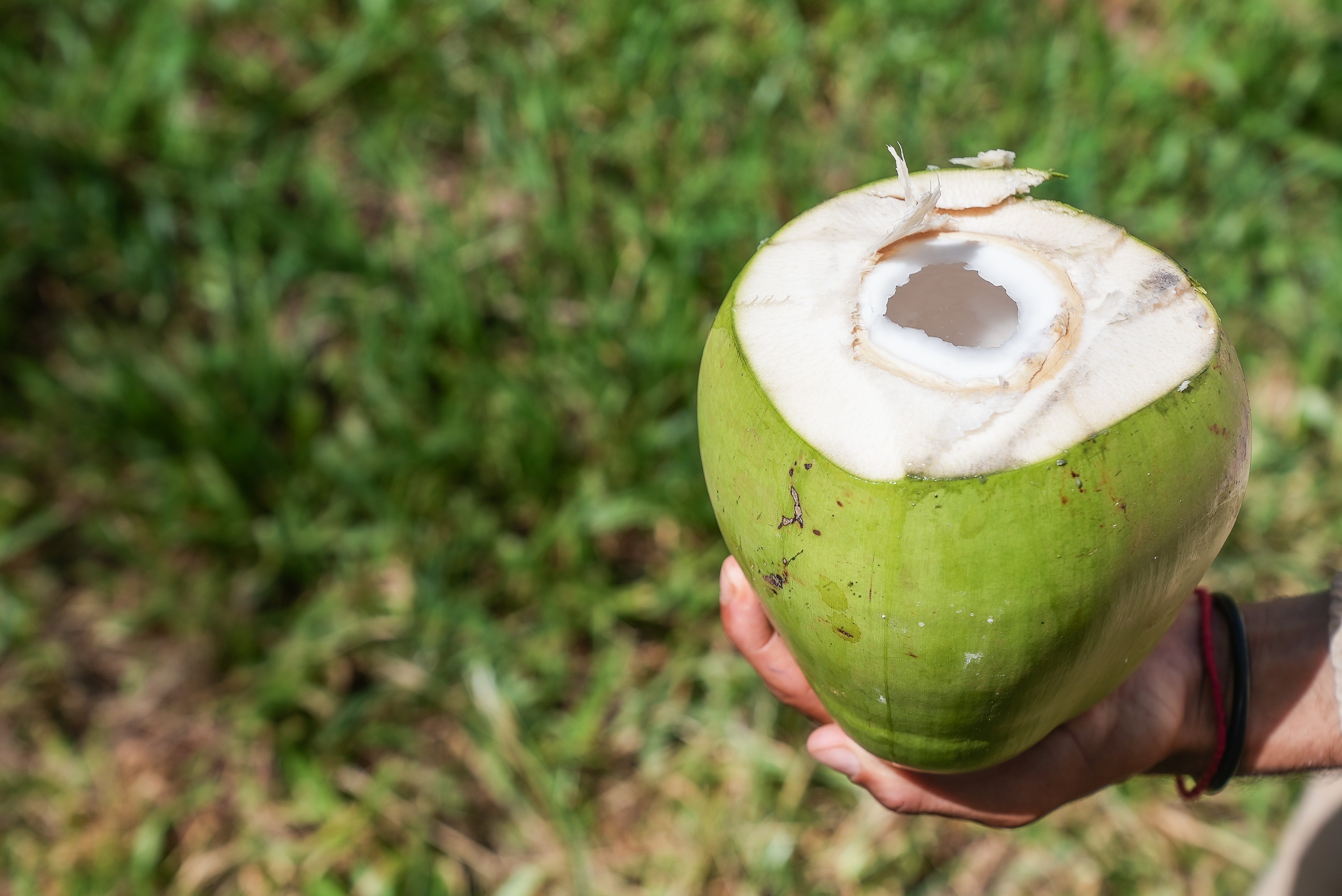 Água de coco pode substituir isotônico?