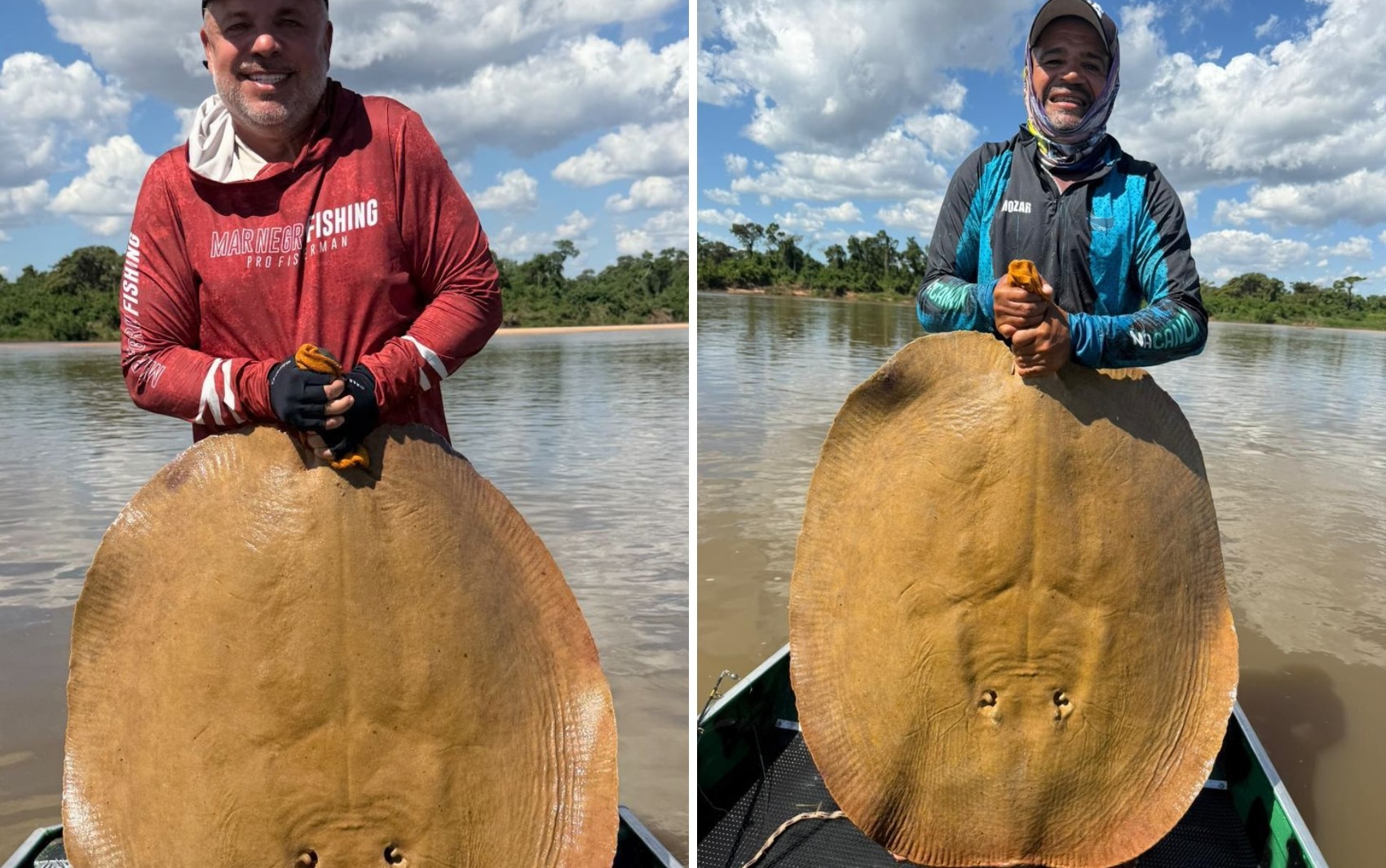 Guia captura arraia gigante no Rio Araguaia e cena chama atenção; vídeo