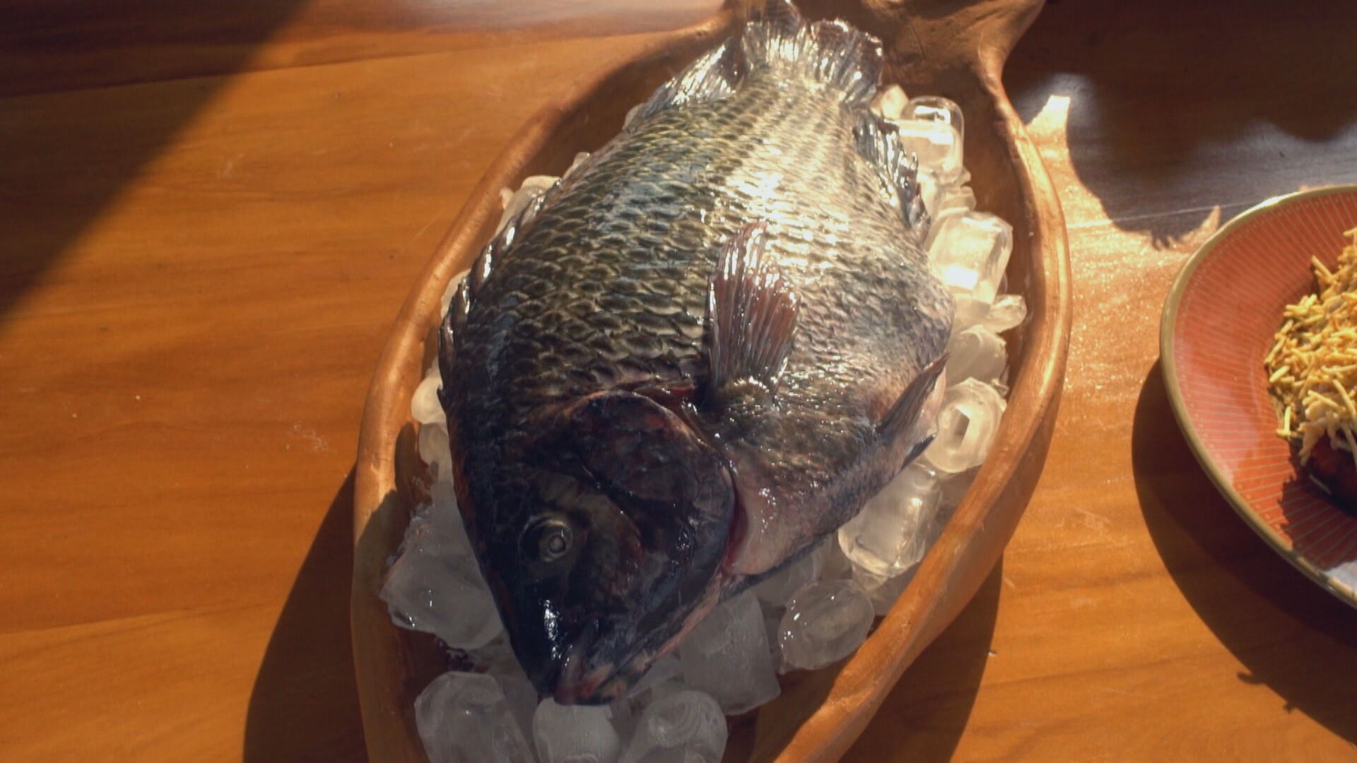 Tarifa dos EUA sobre tilápia brasileira pode baratear o peixe no Brasil? Entenda
