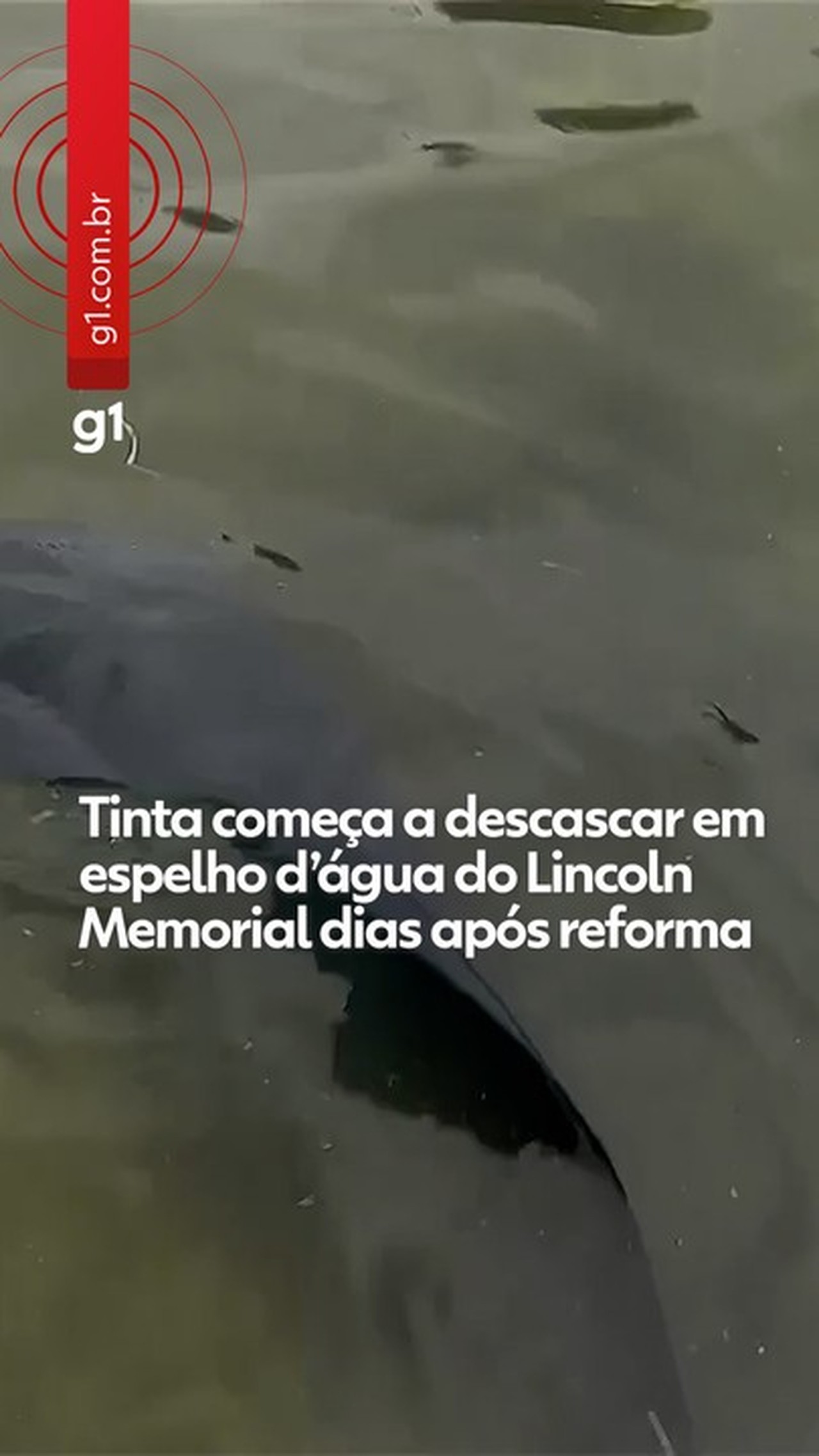Espelho d'água de Washington tem reforço na vigilância após Trump culpar vândalos por algas