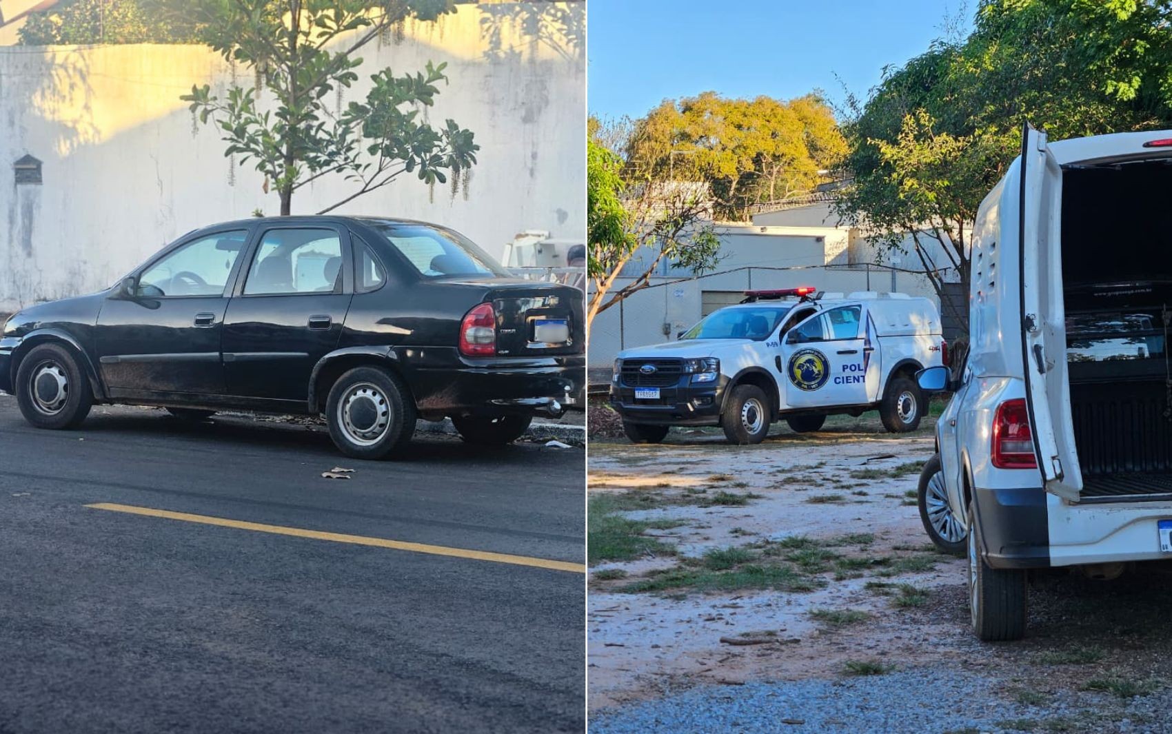 Filhotes de cachorro são resgatados de porta-malas de carro sob sol forte ao lado de UPA Veterinária, em Goiânia
