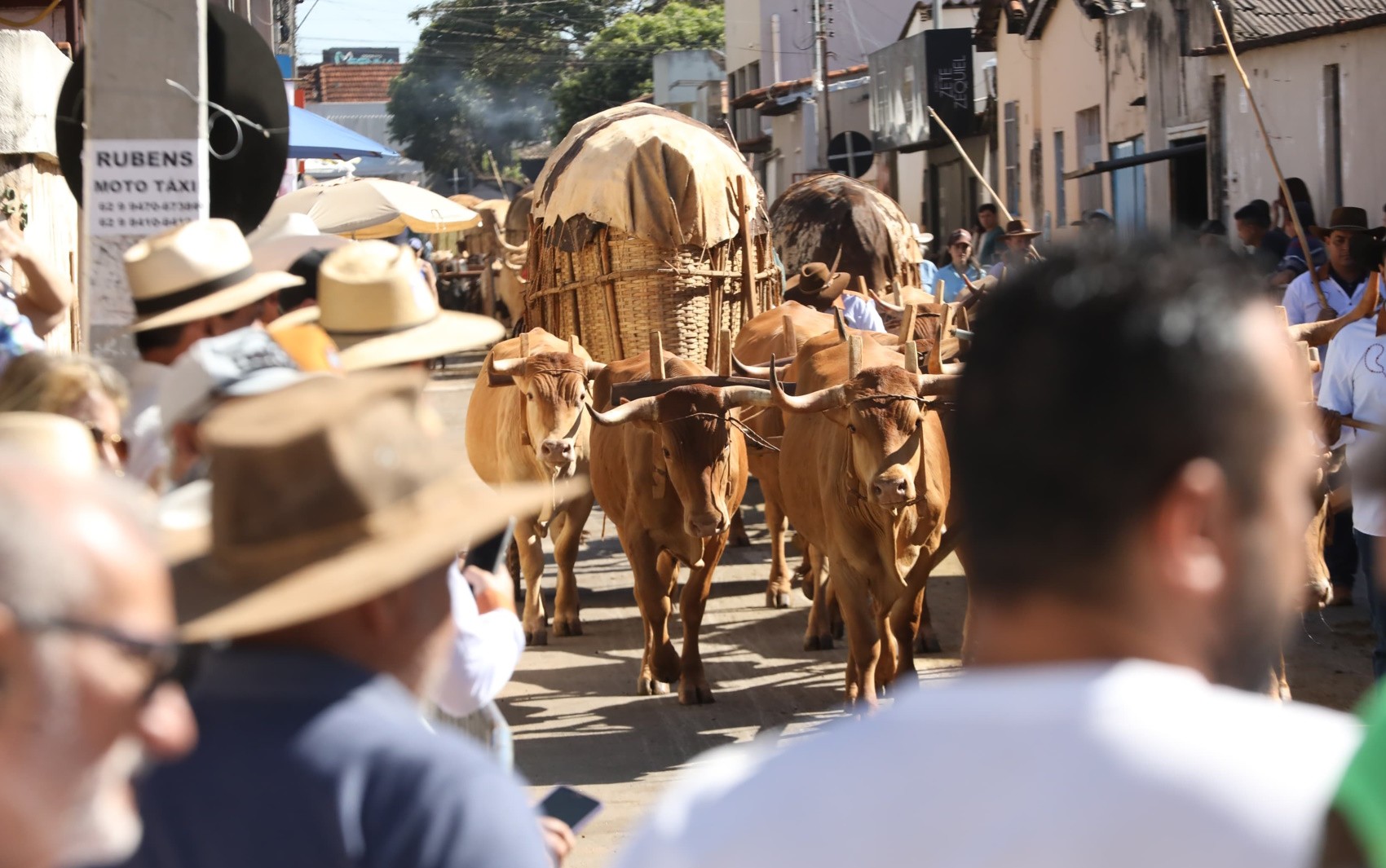 Tradição de quase 200 anos, desfile de carros de boi reúne romeiros que viajaram mais de 1 mil km para agradecer ao Divino Pai Eterno
