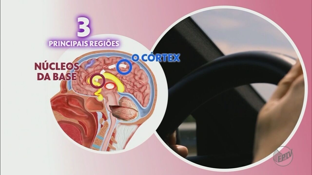 Esqueça as promessas de Ano Novo: você pode 'recomeçar' a vida a qualquer momento e mudar seus hábitos de vez