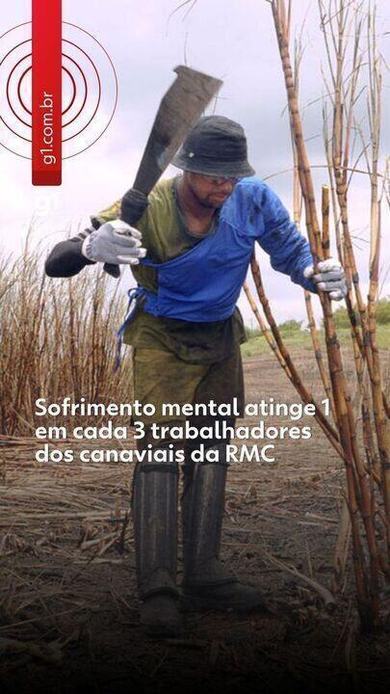 Sofrimento mental atinge 1 em cada 3 trabalhadores dos canaviais da região de Campinas, aponta estudo