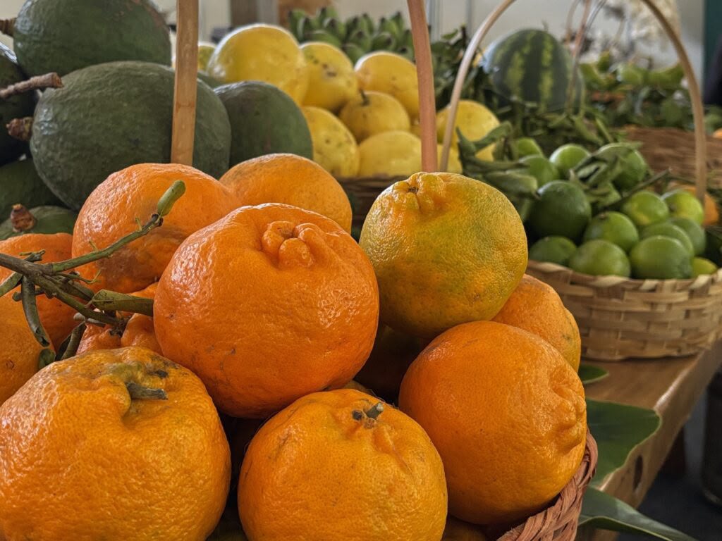 Alimentação escolar em Goiás conta com produtos da agricultura familiar