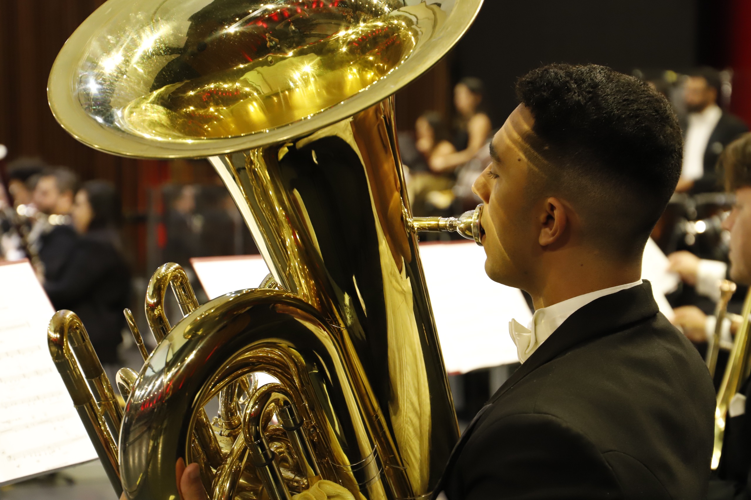 Orquestra Filarmônica de Goiás realiza o segundo concerto de câmara de 2026