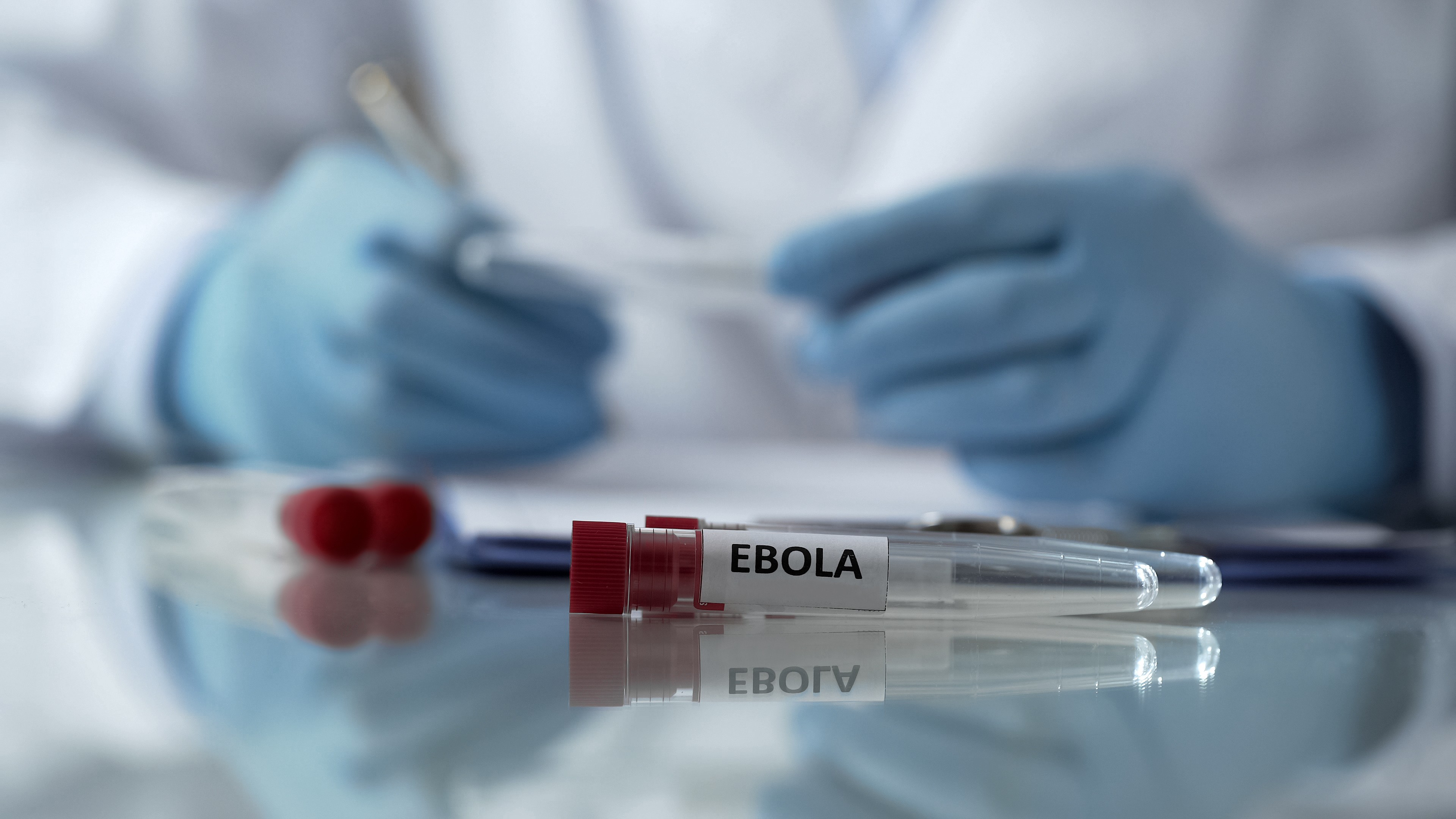 OMS aponta vacina mais promissora contra Ebola; testes em humanos serão desenvolvidos em Singapura