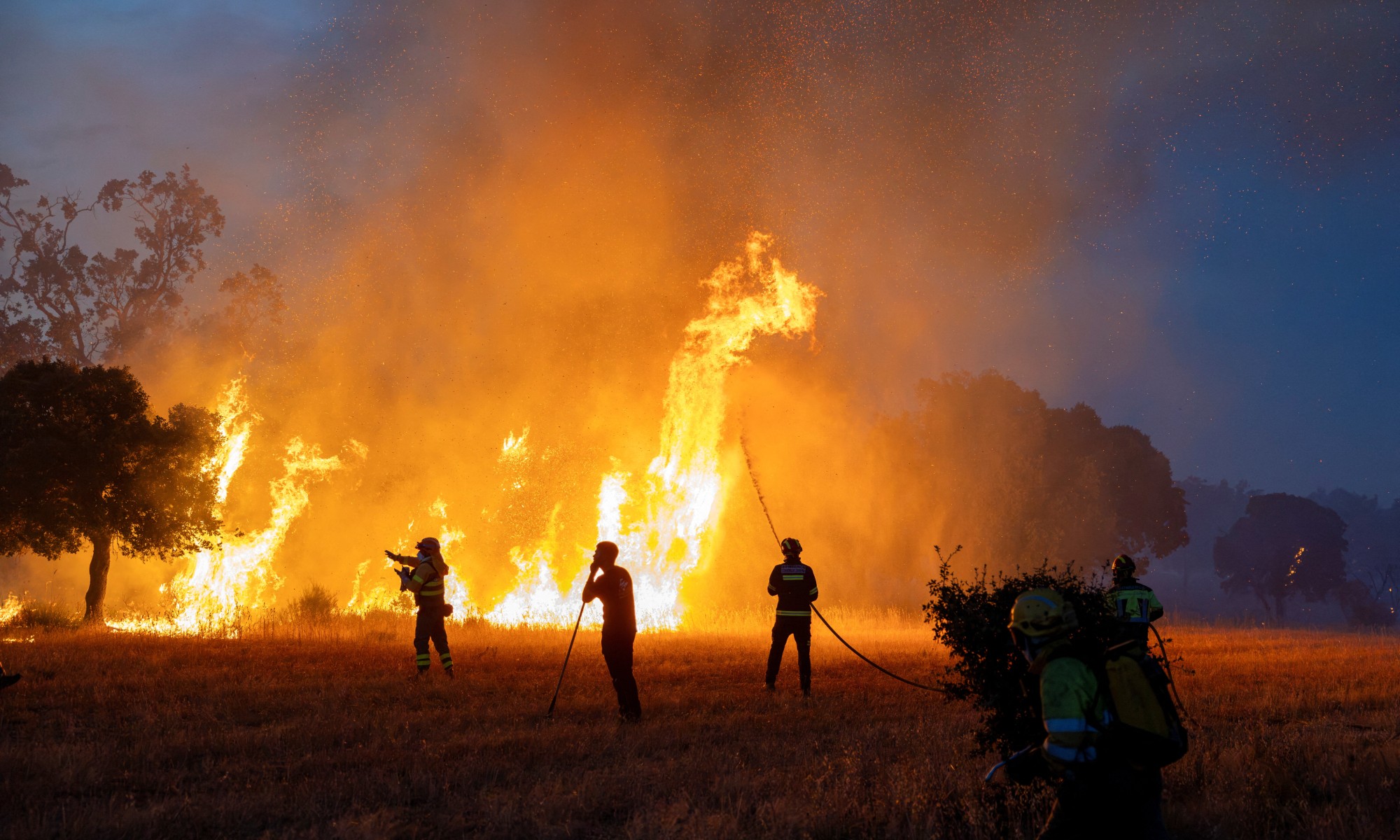 Fumaça de incêndios florestais prejudica saúde a longo prazo