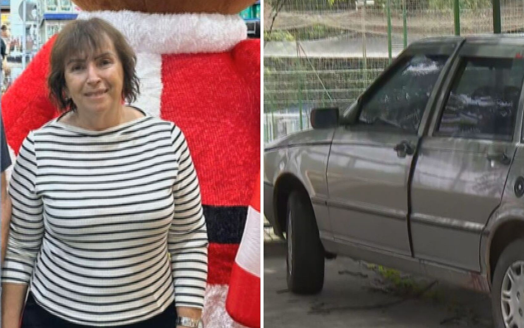 Morte de empresária: homem é condenado a 20 anos de prisão por cometer crime e esconder corpo em carro em Aparecida de Goiânia
